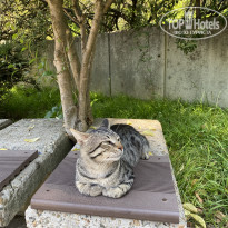 фото из отзыва ID 2264651