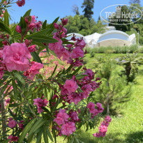 фото из отзыва ID 2264651