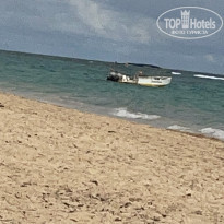 фото из отзыва ID 2264701