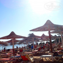 фото из отзыва ID 2264723