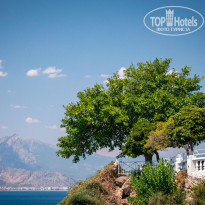 фото из отзыва ID 2264724