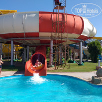 фото из отзыва ID 2264875