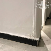 фото из отзыва ID 2264995