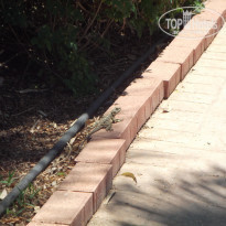 фото из отзыва ID 2264998