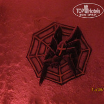 фото из отзыва ID 2265004