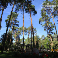 фото из отзыва ID 2265004