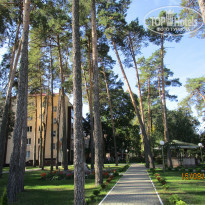 фото из отзыва ID 2265004