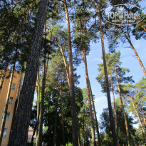 фото из отзыва ID 2265004