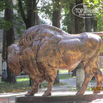 фото из отзыва ID 2265004