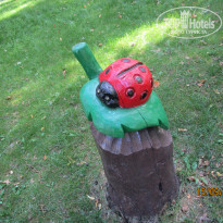 фото из отзыва ID 2265004