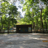 фото из отзыва ID 2265004