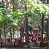 фото из отзыва ID 2265004