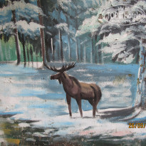 фото из отзыва ID 2265004