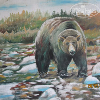 фото из отзыва ID 2265004