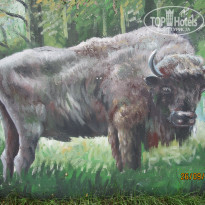 фото из отзыва ID 2265004