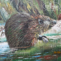 фото из отзыва ID 2265004