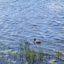 фото из отзыва ID 2265004