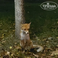 фото из отзыва ID 2265004