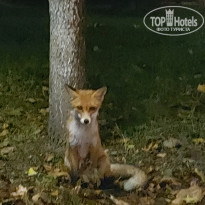 фото из отзыва ID 2265004