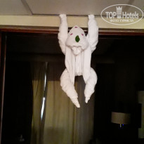 фото из отзыва ID 2265085