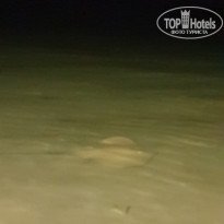 фото из отзыва ID 2265143