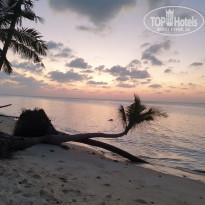 фото из отзыва ID 2265143