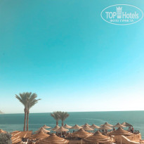 фото из отзыва ID 2265137