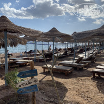 фото из отзыва ID 2265254