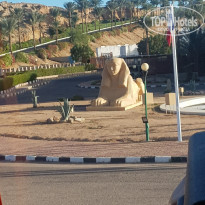 фото из отзыва ID 2265341