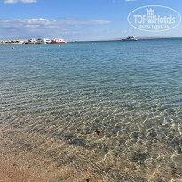 фото из отзыва ID 2265436