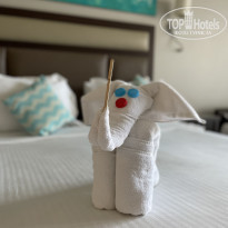 фото из отзыва ID 2265436