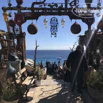 фото из отзыва ID 2265469