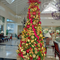 фото из отзыва ID 2265492