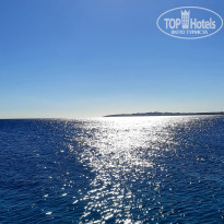 фото из отзыва ID 2265504