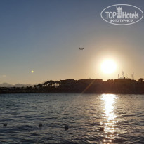 фото из отзыва ID 2265504