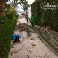 фото из отзыва ID 2265541