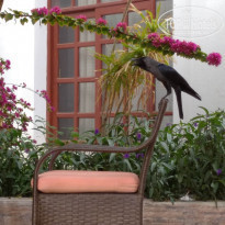 фото из отзыва ID 2265541