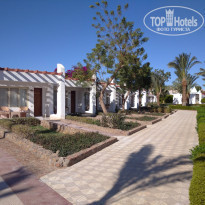 фото из отзыва ID 2265541