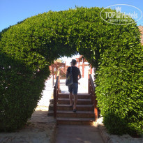 фото из отзыва ID 2265541