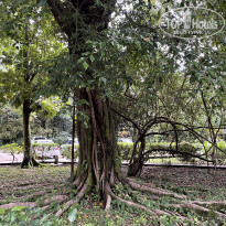 фото из отзыва ID 2265577