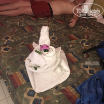 фото из отзыва ID 2265652