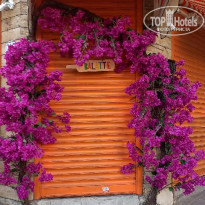 фото из отзыва ID 2265655