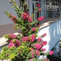 фото из отзыва ID 2265732