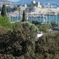 фото из отзыва ID 2265732