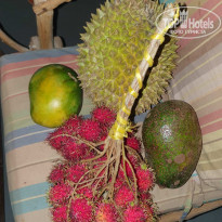 фото из отзыва ID 2266047
