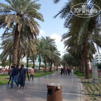 фото из отзыва ID 2266112