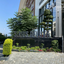 фото из отзыва ID 2266196