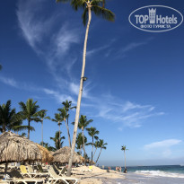 фото из отзыва ID 2266203