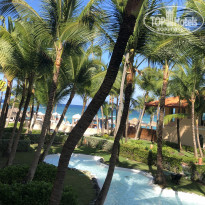 фото из отзыва ID 2266203