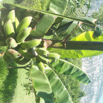 фото из отзыва ID 2265142